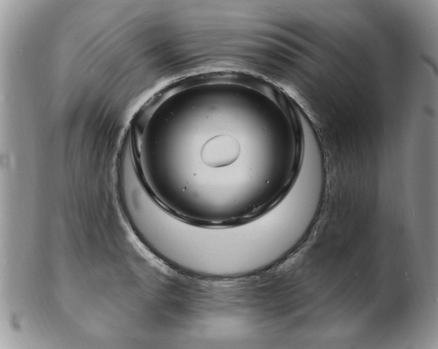 X0000103241134200808281435