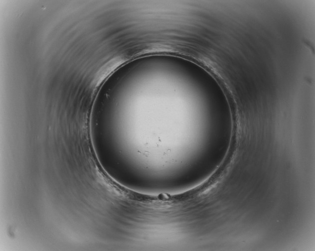 X0000103241137200808281435
