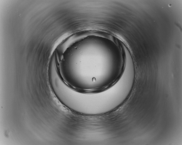 X0000103241138200808281435