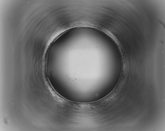 X0000103241144200808281435
