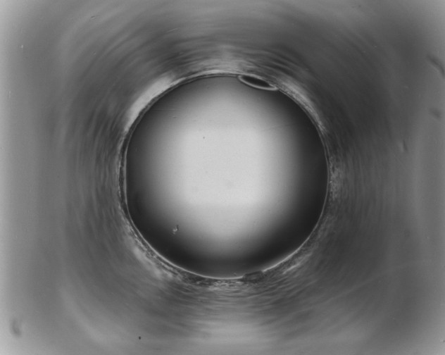 X0000103241146200808281435