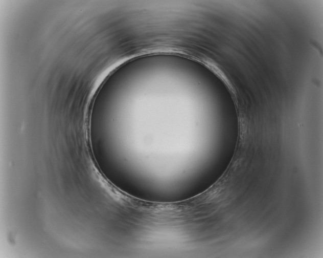 X0000103241148200808281435