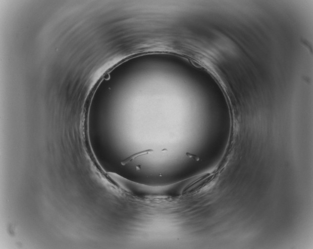 X0000103241149200808281435