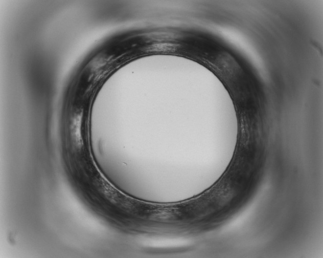X0000103241150200808281435
