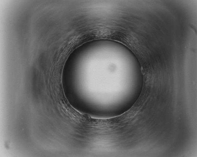 X0000103241153200808281434