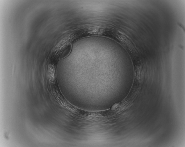 X0000103241154200808281434