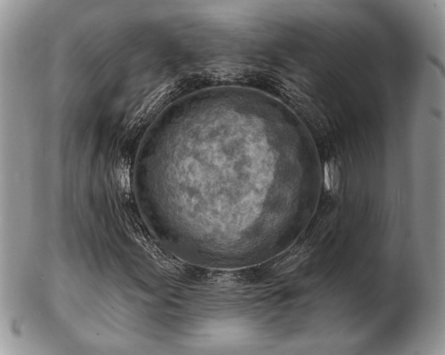 X0000103241155200808281434