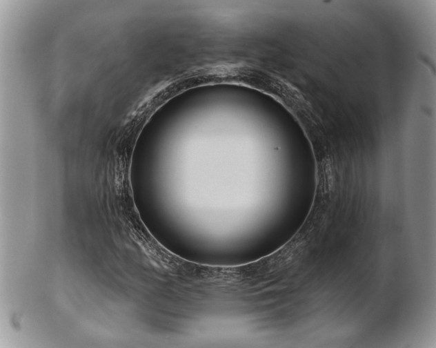 X0000103241158200808281434
