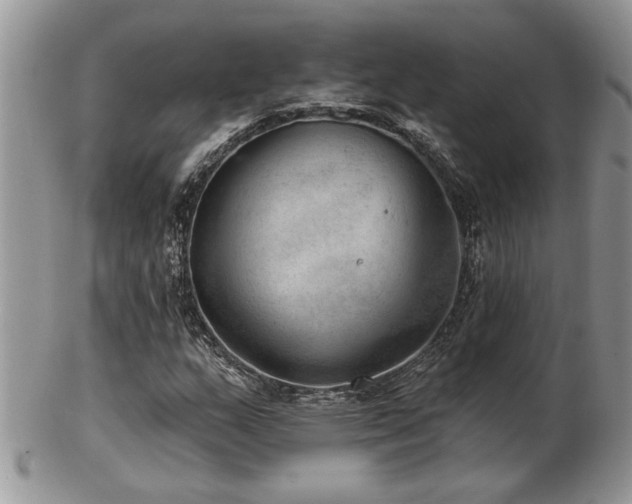 X0000103241159200808281434