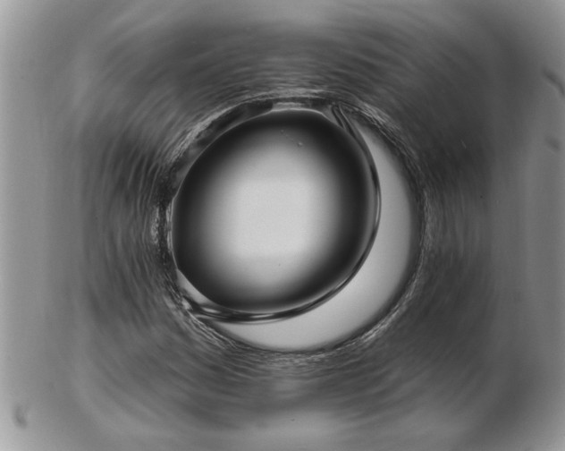 X0000103241161200808281434