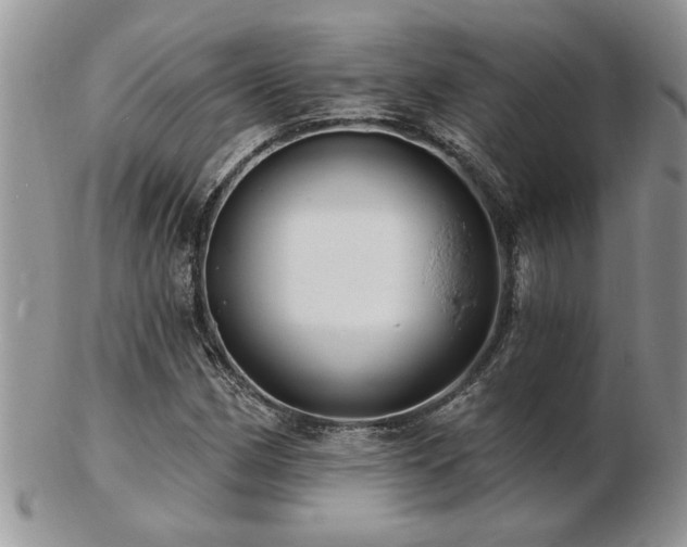 X0000103241162200808281434