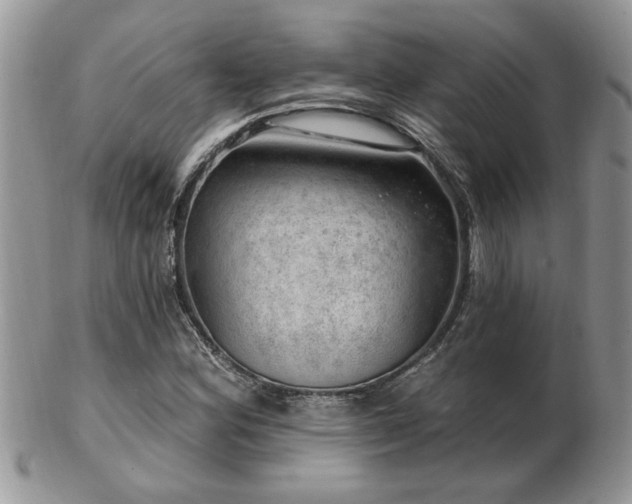 X0000103241164200808281434