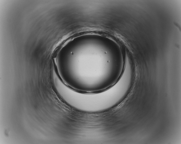 X0000103241165200808281434