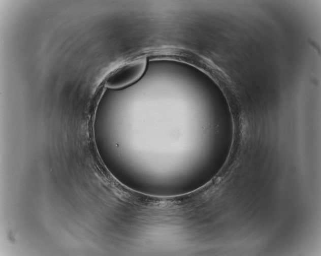 X0000103241166200808281434
