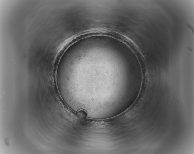 X0000103241168200808281434