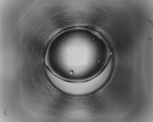 X0000103241169200808281434