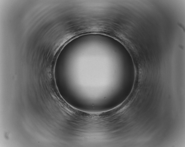 X0000103241170200808281434