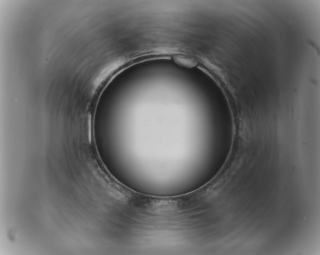 X0000103241171200808281434