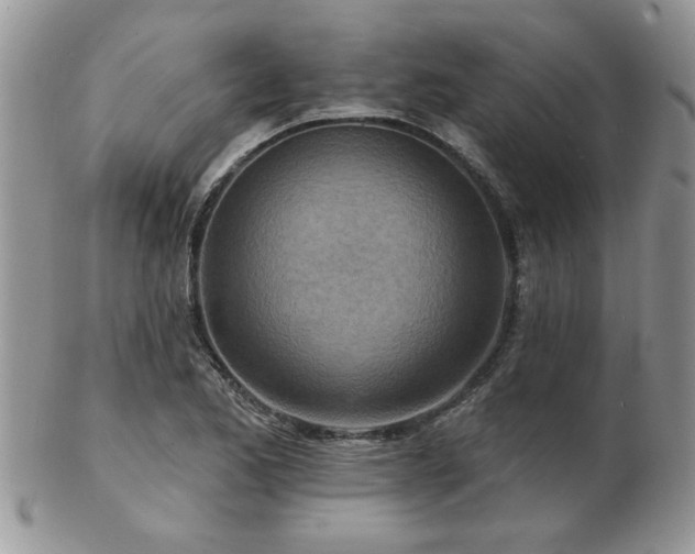 X0000103241173200808281434