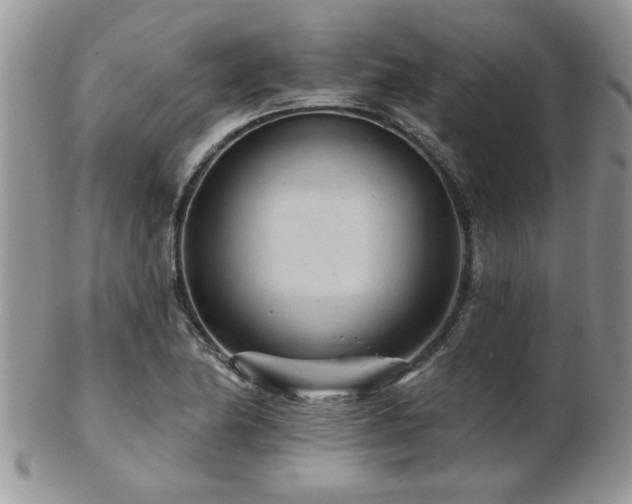 X0000103241174200808281434