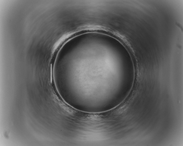 X0000103241175200808281434