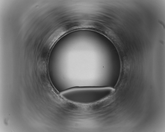 X0000103241177200808281434