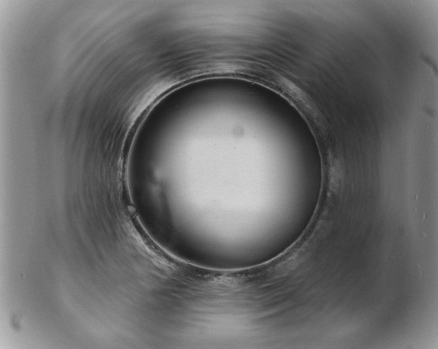 X0000103241178200808281434