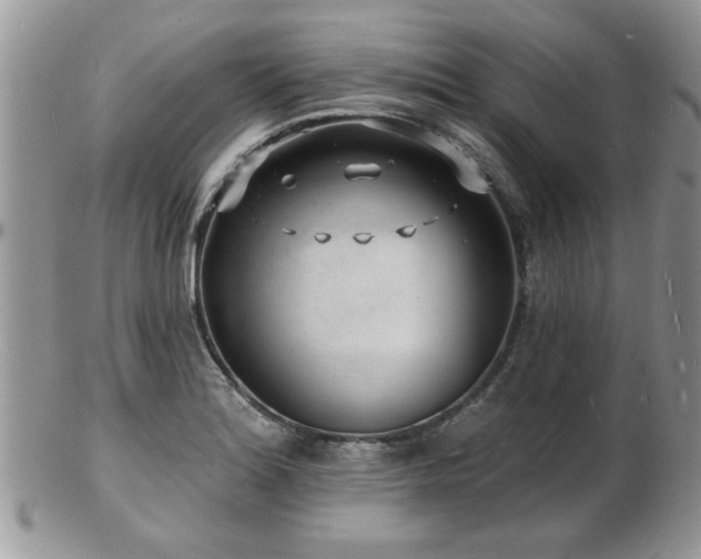 X0000103241180200808281434