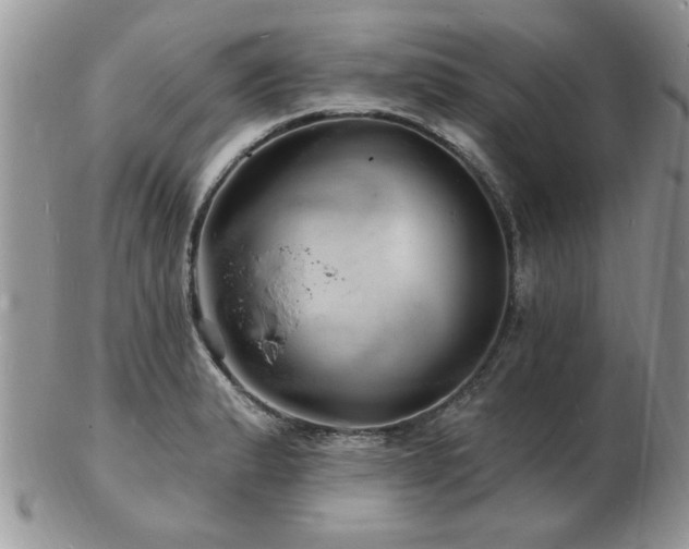 X0000103241183200808281434