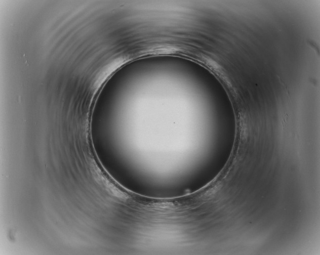 X0000103241186200808281434