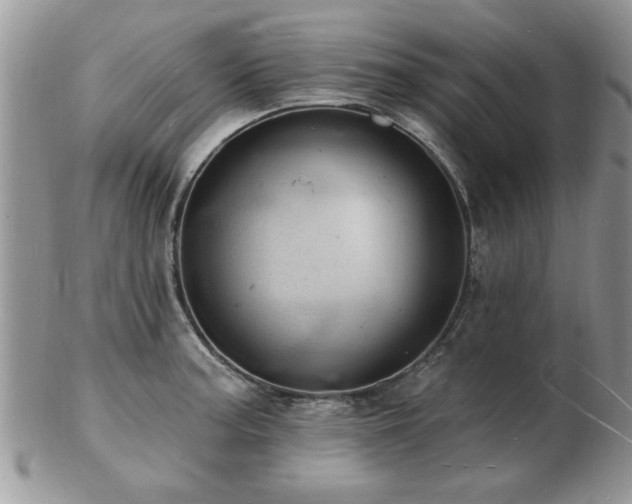 X0000103241187200808281434