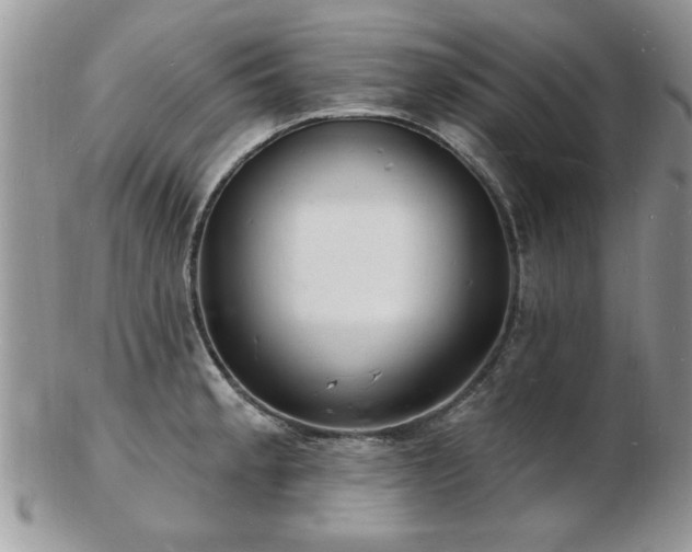 X0000103241189200808281434