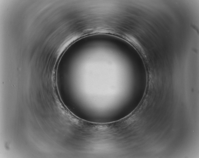 X0000103241190200808281434