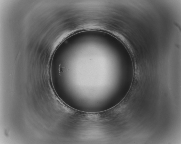 X0000103241191200808281434