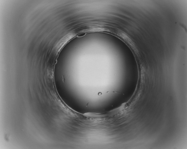 X0000103241193200808281434