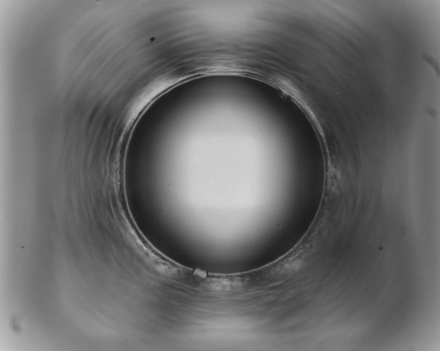 X0000103241195200808281434