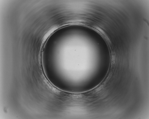 X0000103241196200808281434