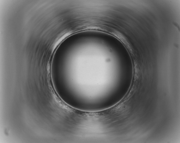 X0000103241198200808281434