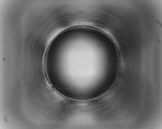 X0000103241199200808281434