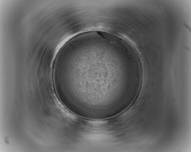 X0000103241200200808281434