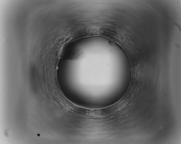 X0000103241201200808281433