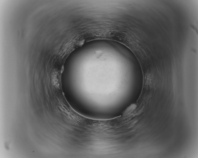 X0000103241202200808281433