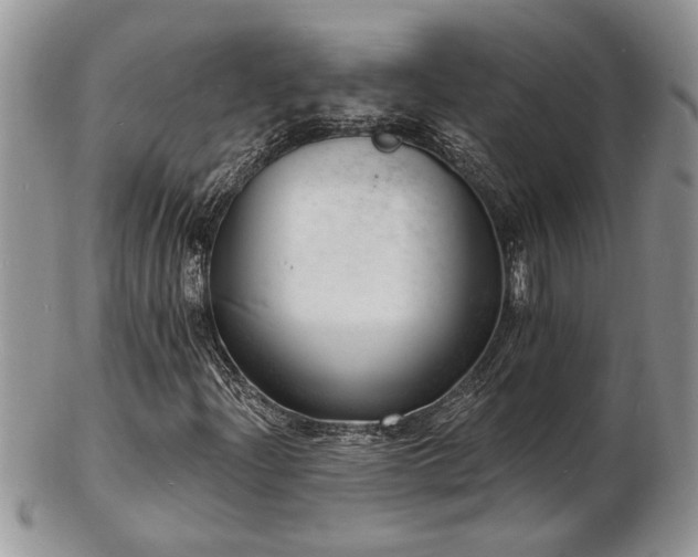 X0000103241204200808281433