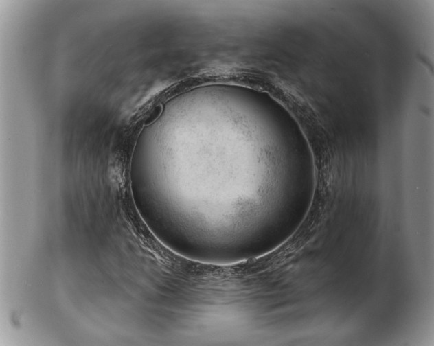 X0000103241206200808281433