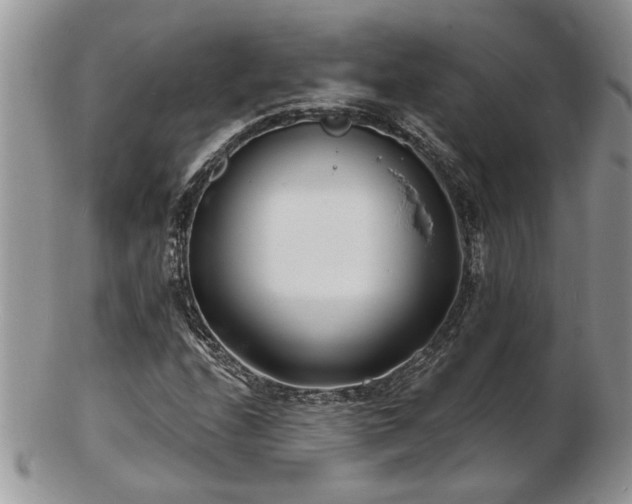 X0000103241208200808281433