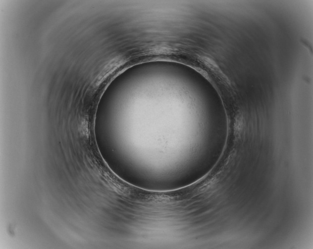X0000103241209200808281433