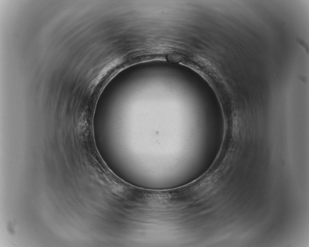 X0000103241210200808281433
