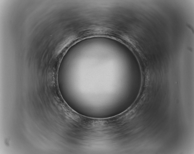 X0000103241211200808281433