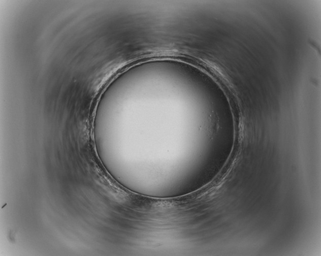 X0000103241212200808281433