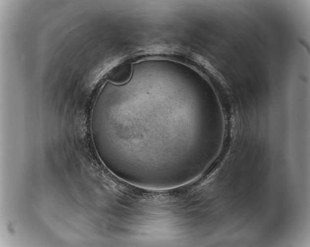 X0000103241213200808281433